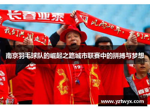 南京羽毛球队的崛起之路城市联赛中的拼搏与梦想