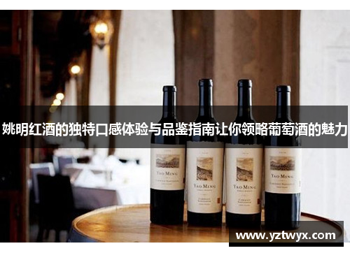姚明红酒的独特口感体验与品鉴指南让你领略葡萄酒的魅力