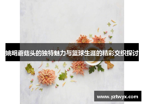 姚明蘑菇头的独特魅力与篮球生涯的精彩交织探讨