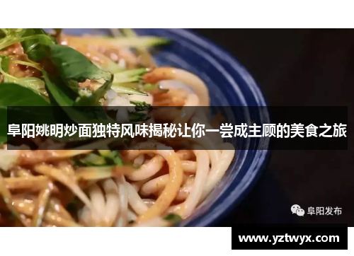 阜阳姚明炒面独特风味揭秘让你一尝成主顾的美食之旅